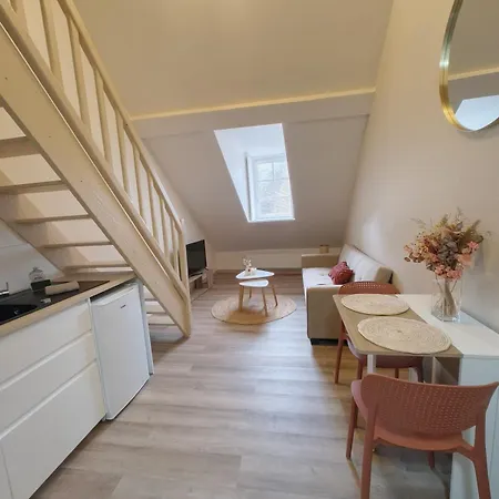 Appartamento Le Nid De La Chouette - Historic Center *