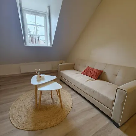 Appartement Le Nid De La Chouette - Historic Center Dijon