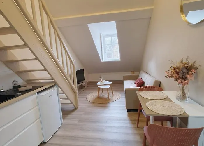 Appartamento Le Nid De La Chouette - Historic Center *