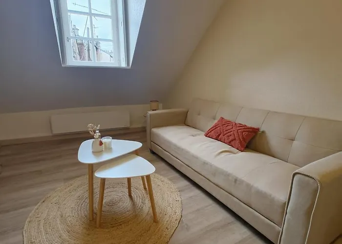 Appartamento Le Nid De La Chouette - Historic Center Digione